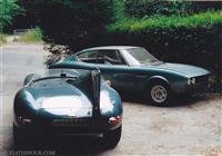 D-Type Jaguar