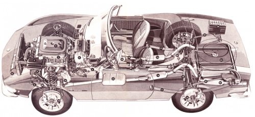 X-Ray of a 2 litre Spider